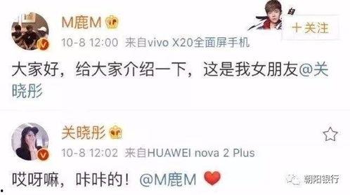 朝阳银行最新爆料消息,揭秘金融创新与风险管控新动态